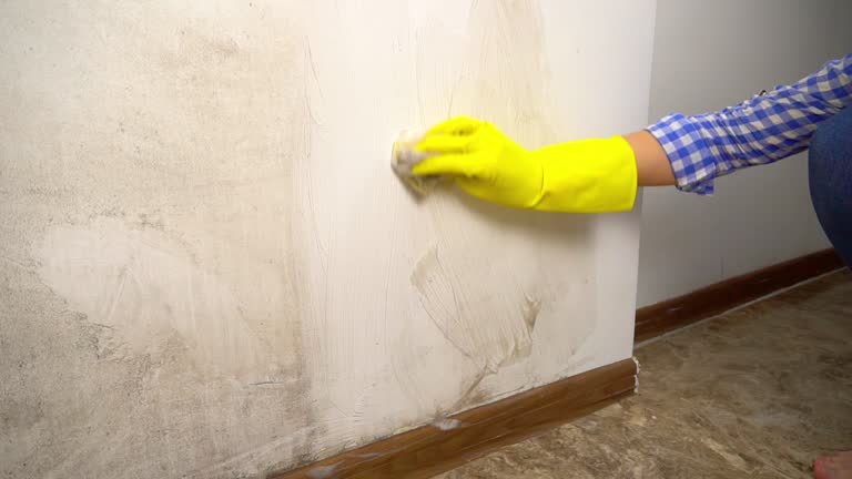 Best Mold Damage Restoration  in Cranford, NJ