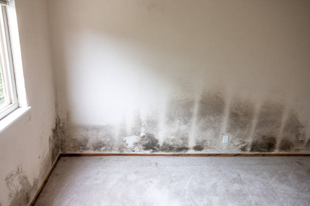 Best HVAC Mold Inspection and Cleaning  in Cranford, NJ